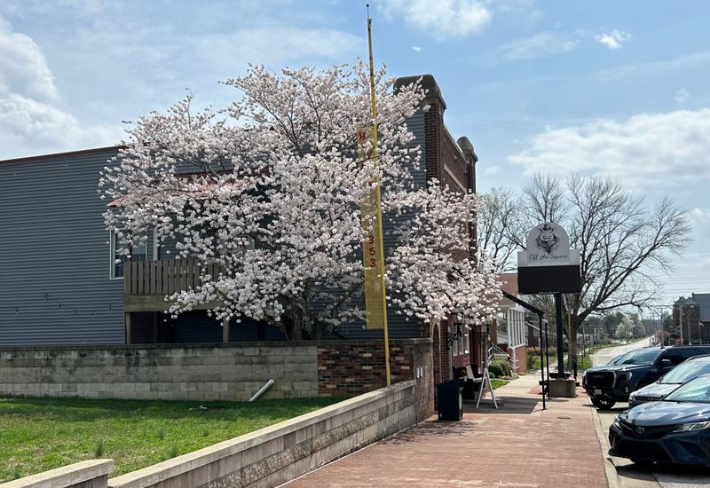 The Converted Factory Setting