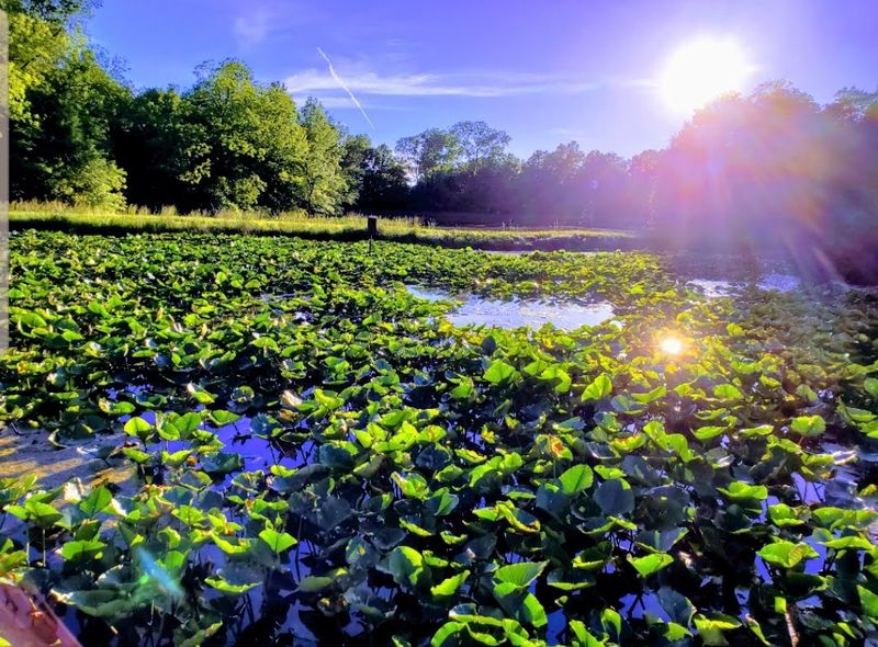 Living Between Claremore and Catoosa