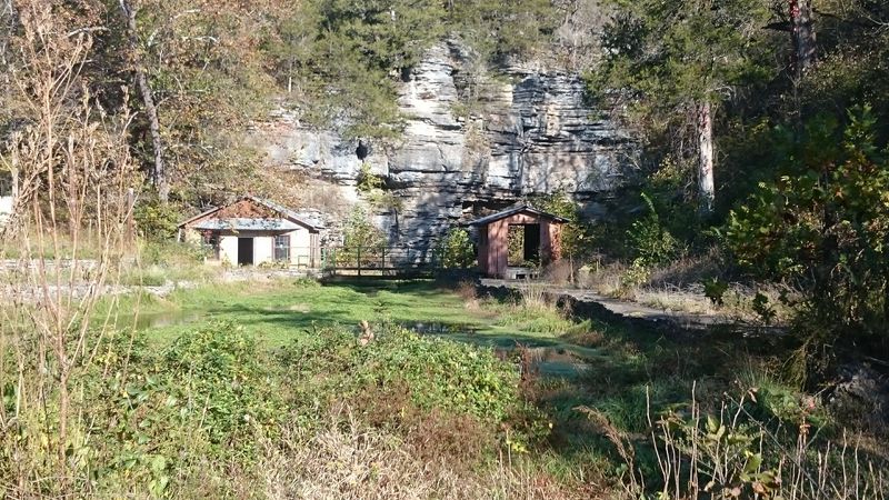 Ruins Hidden Beneath The Trees