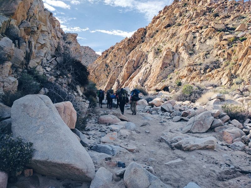 What Parks Are Doing To Manage Sightseeing Pressure