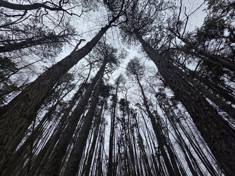 The Loud Archery Range That Shatters Any Peaceful Nature Vibes