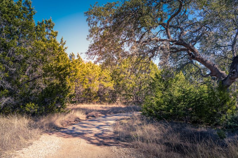 Hiking Trails That Wind Through Hill Country Beauty