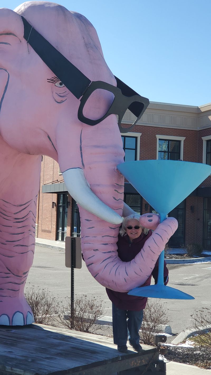 Target of Pranks and Repeated Repairs