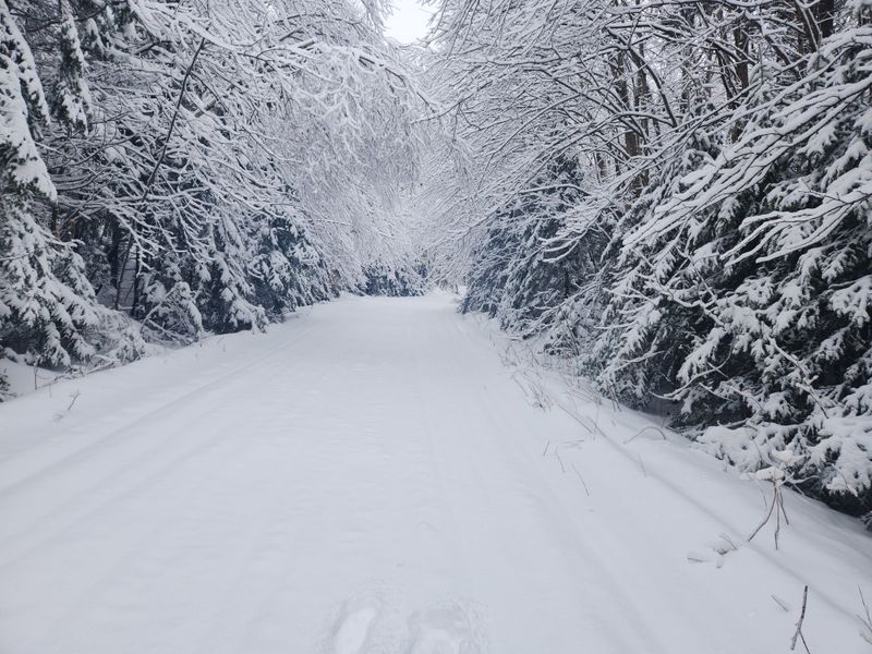 Disappearances That Shaped Local Lore