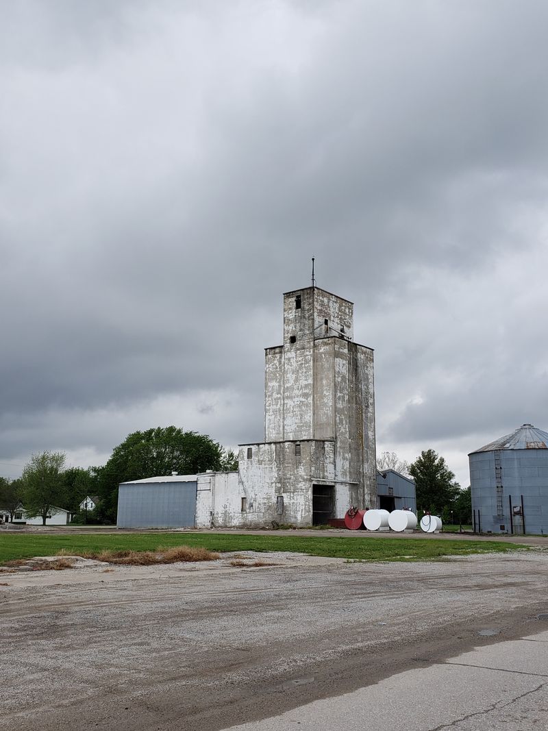 The Annual Reunions That Keep Memory Alive
