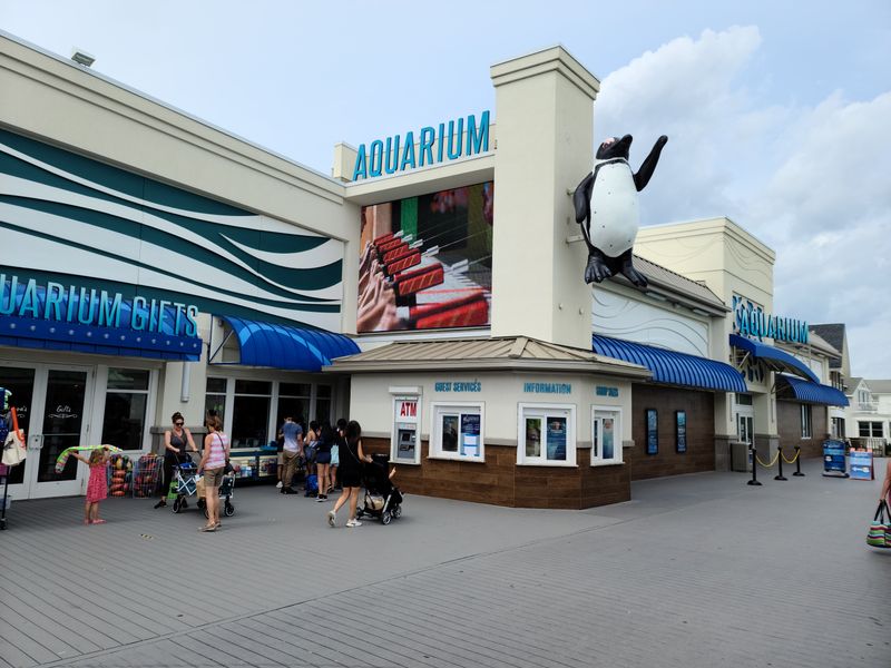 Year-Round Open Doors Keep Winter Blues Away