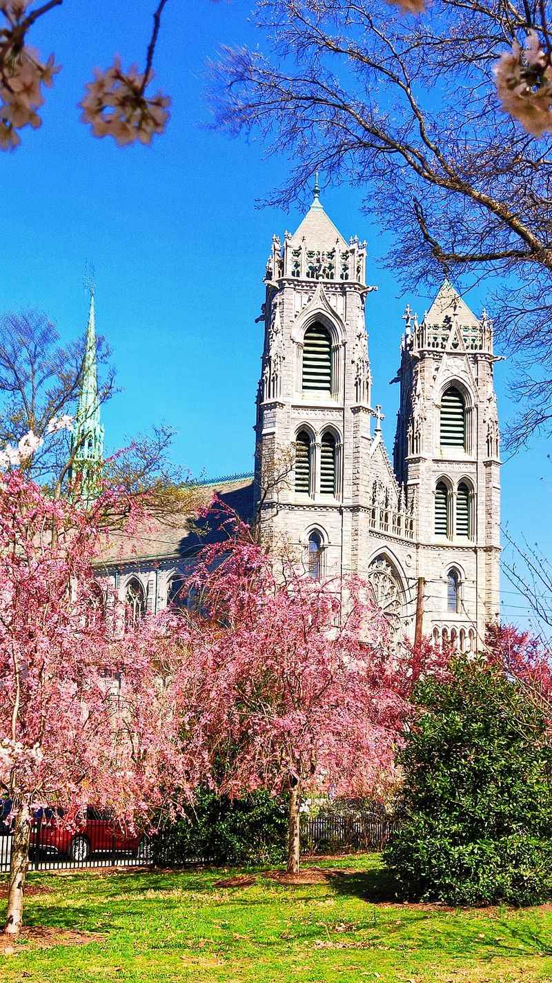 The Locals Who Wish Fewer People Knew Their Secret