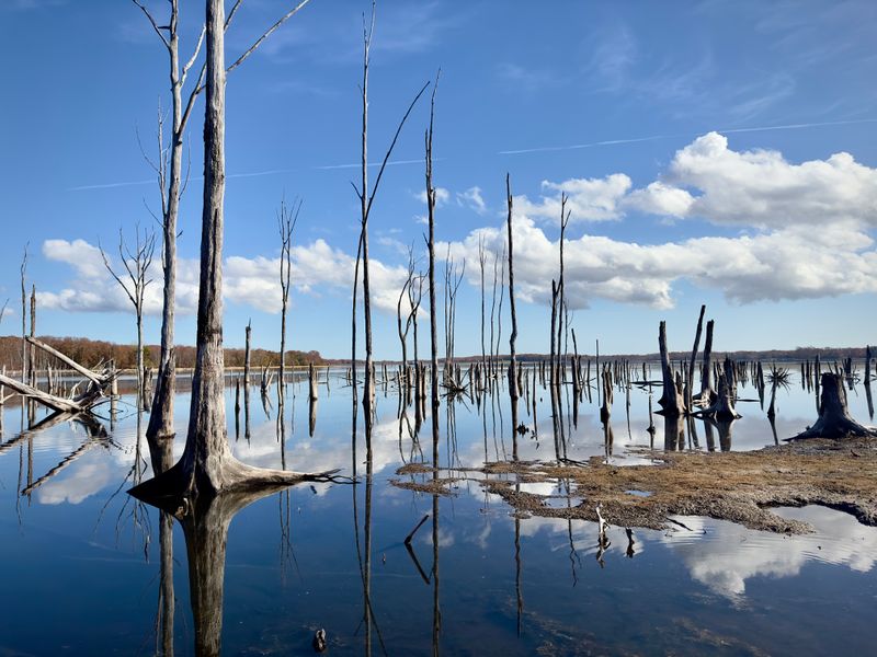 A Perfect Five-Mile Loop That Never Gets Old
