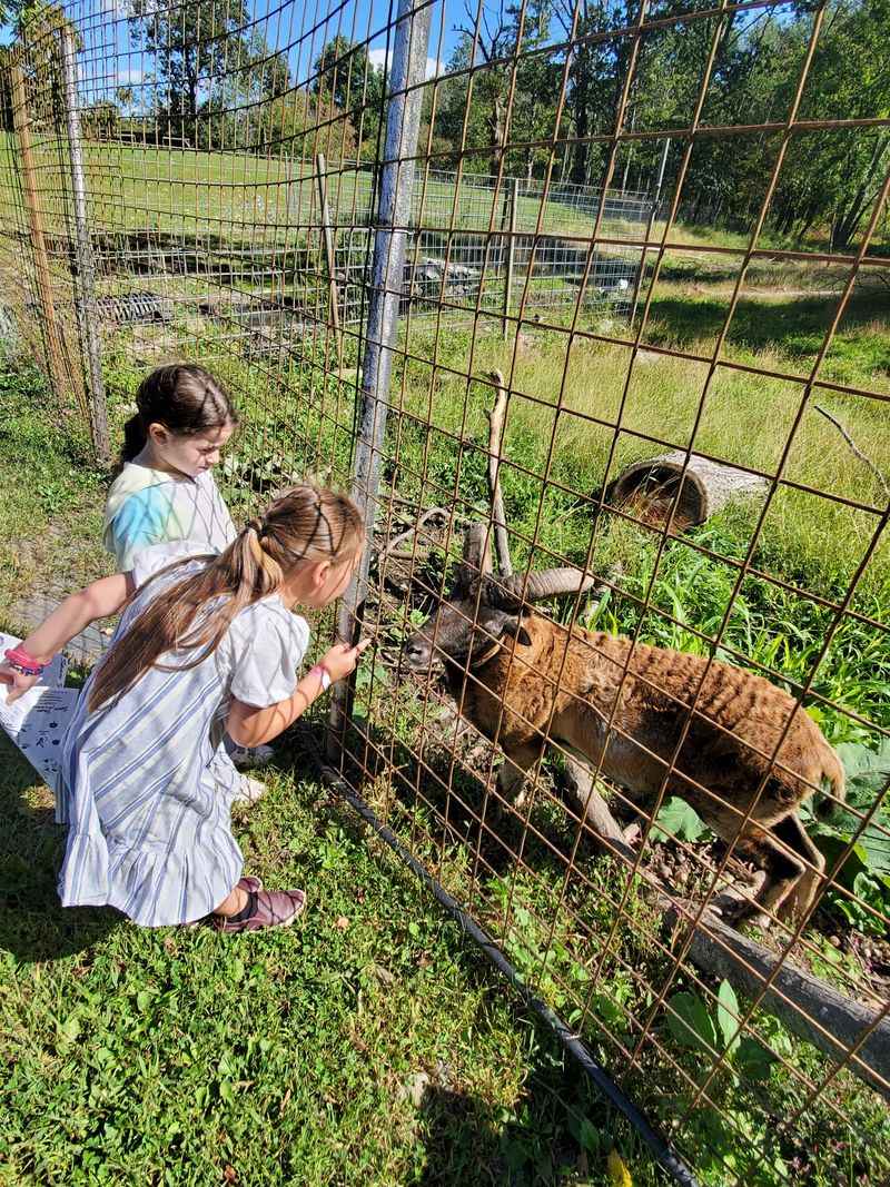 Space Farms Zoo & Museum