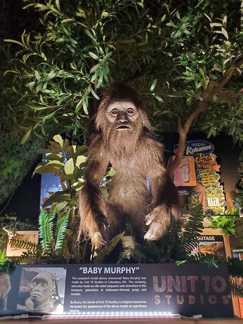 North American Bigfoot Center