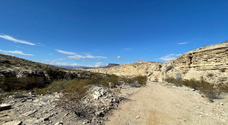The Desert Trails Around Town