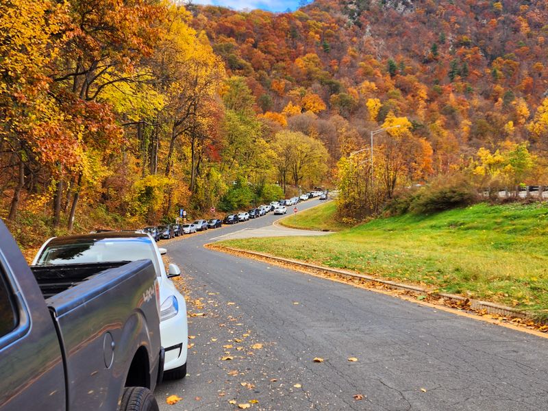 Parking Challenges That Require Strategic Timing