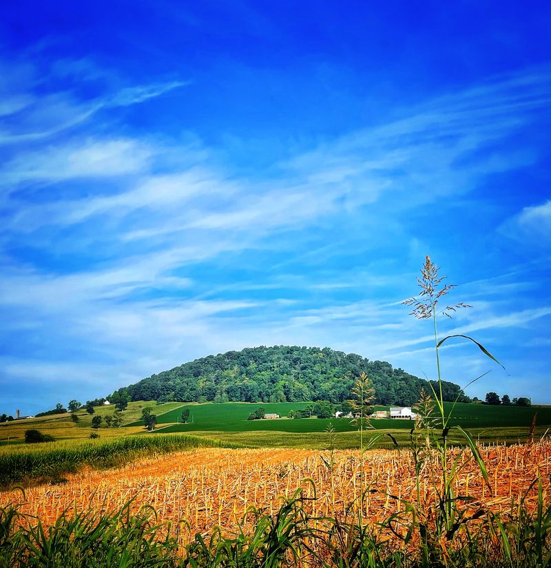 The Mole Hill Volcanic Plug Commemorates Geological Oddity