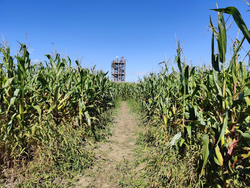 Richardson Adventure Farm Night Maze