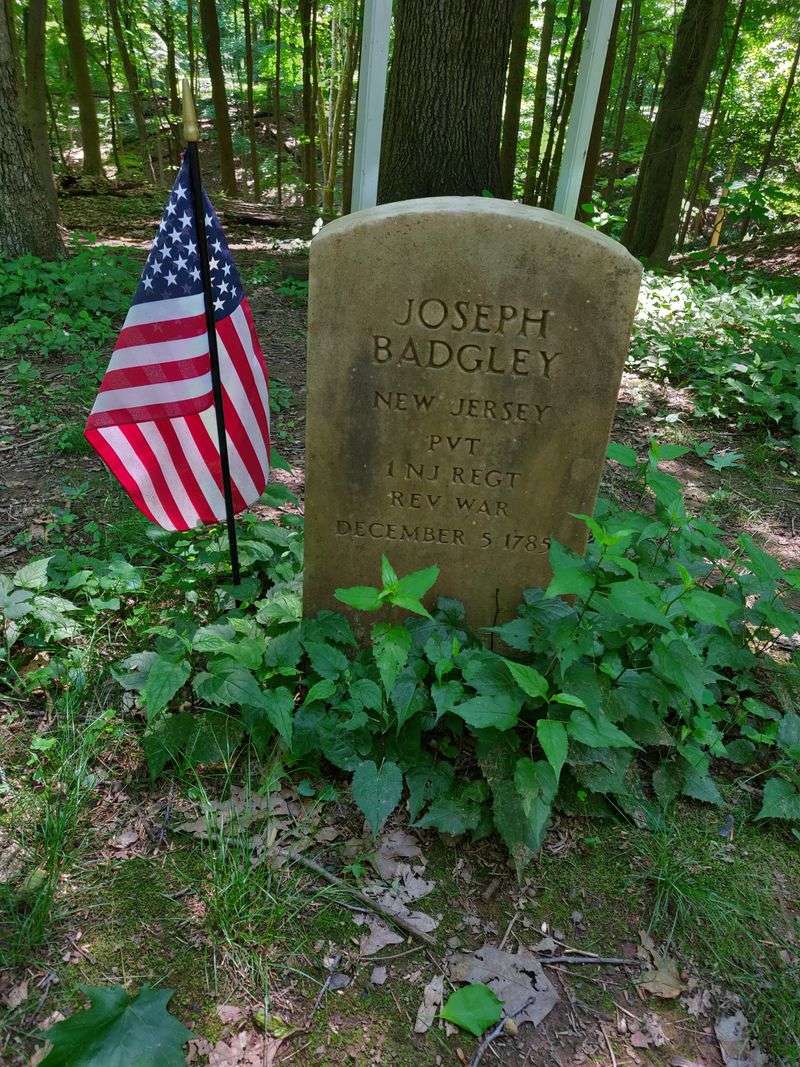 The Hidden Cemetery in the Woods