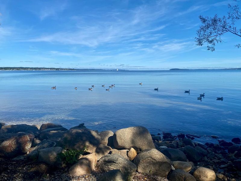 Traverse City