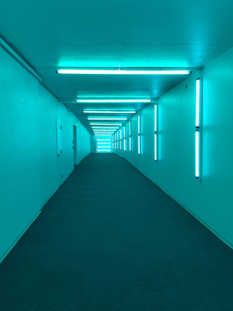 A Network Born from Practical Necessity