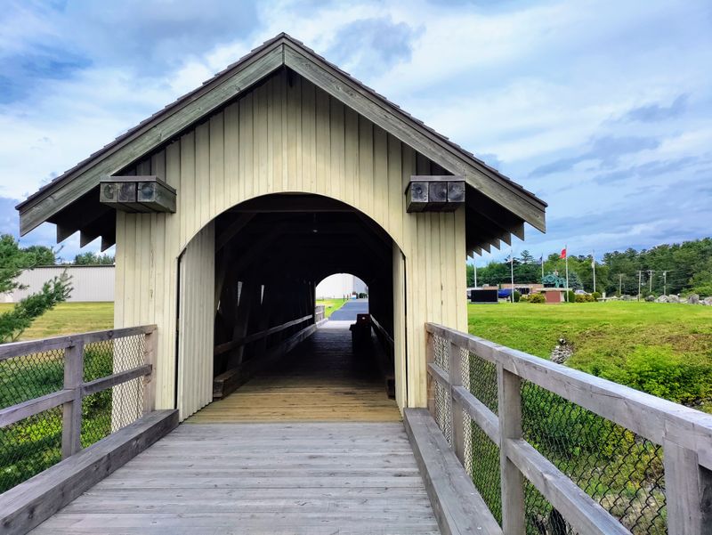 Bangor City Forest's Dense Woods and Hidden Trails