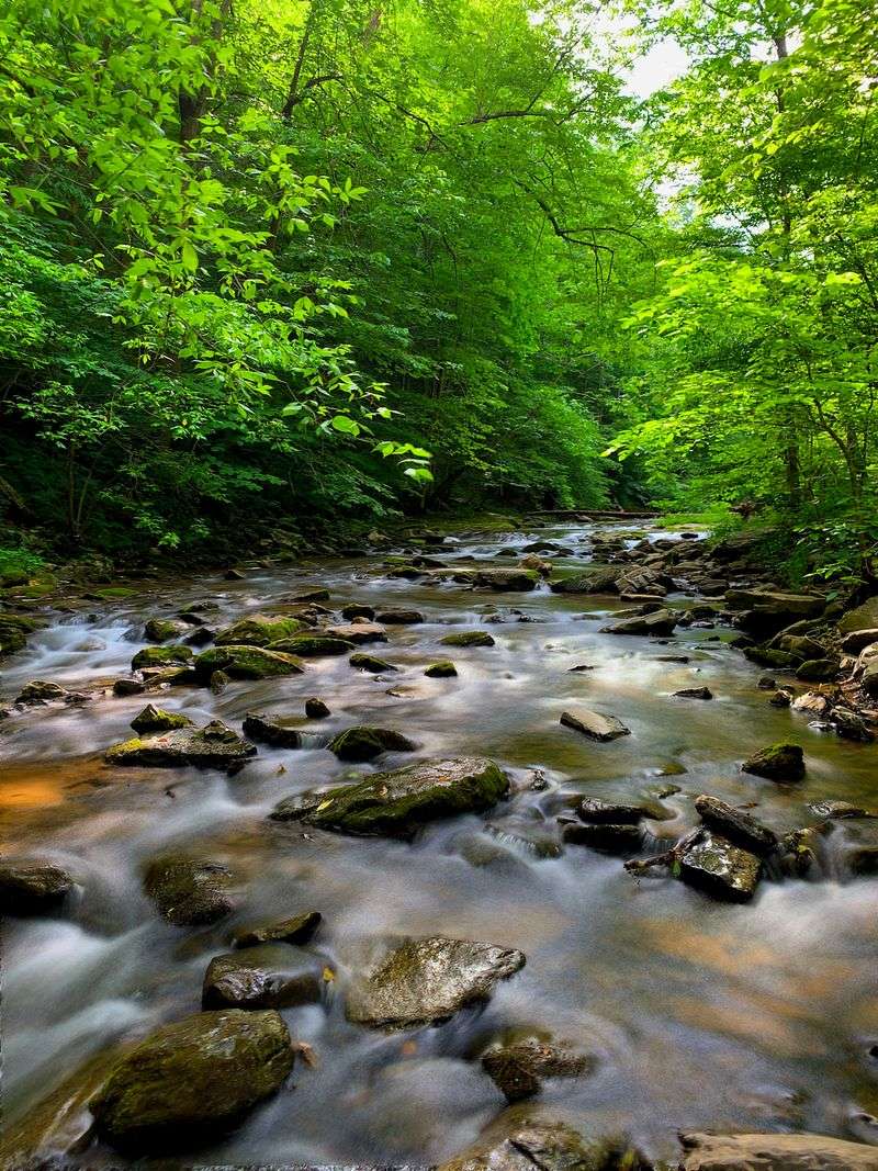 Perfect for All Ages and Abilities