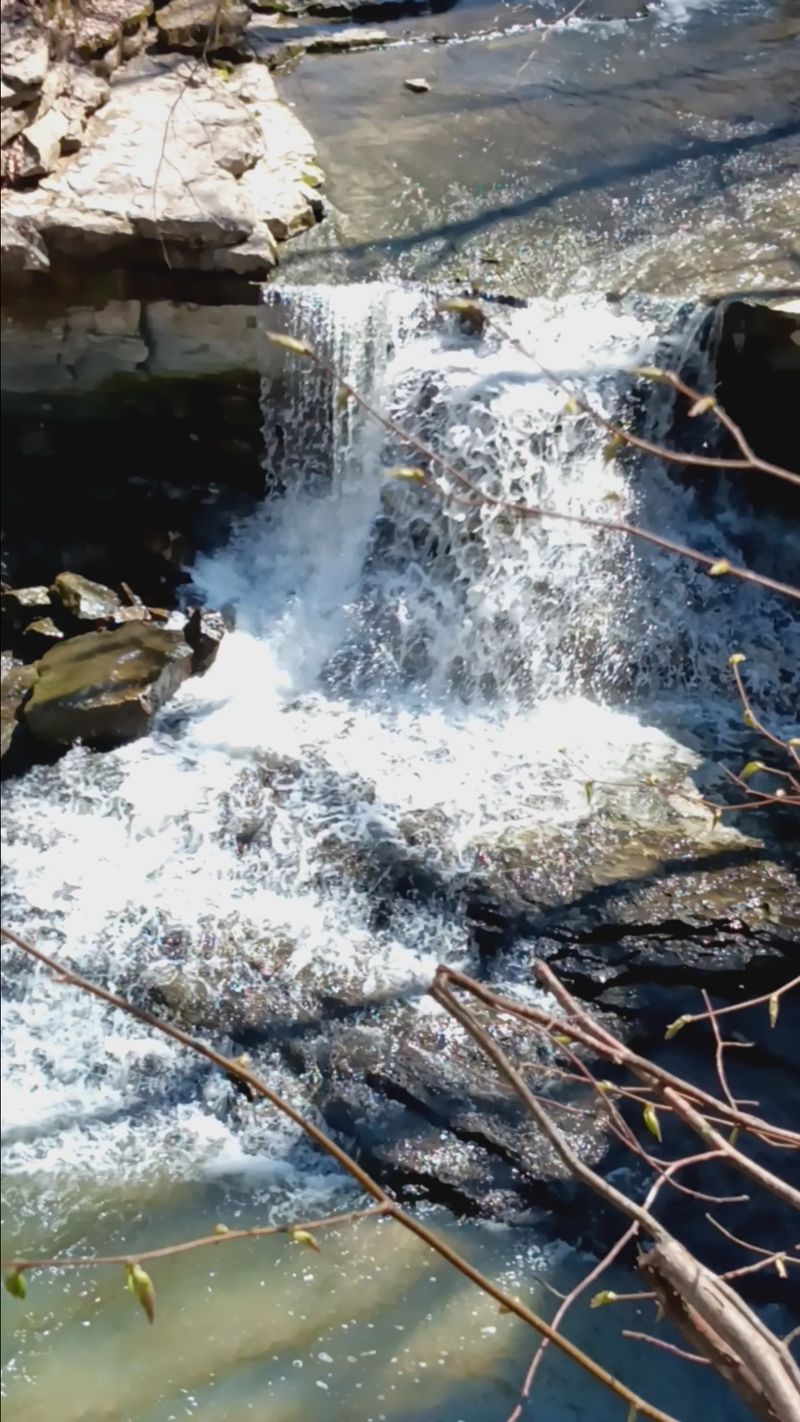 The Photography Opportunities