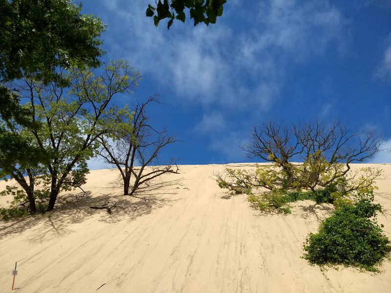 Towering Sand Dunes Create Natural Hiking Challenges