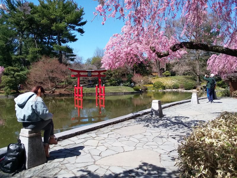 Seasonal Transformations That Guarantee Fresh Experiences Year-Round