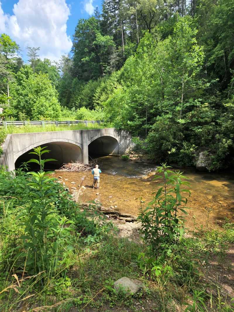 Locals Protect What They Have