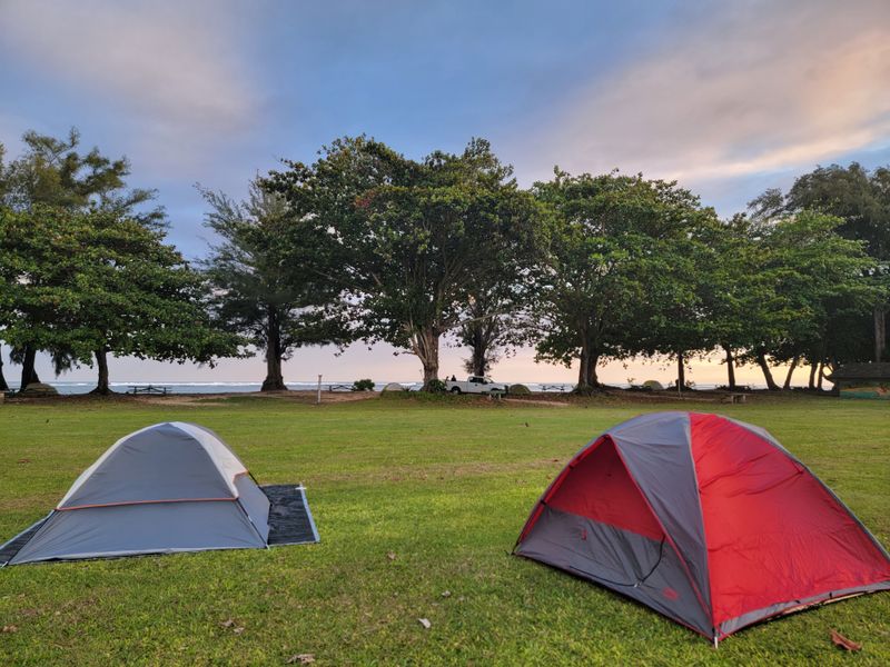 Certain Behaviors Feel Disrespectful Even If They’re Common Elsewhere