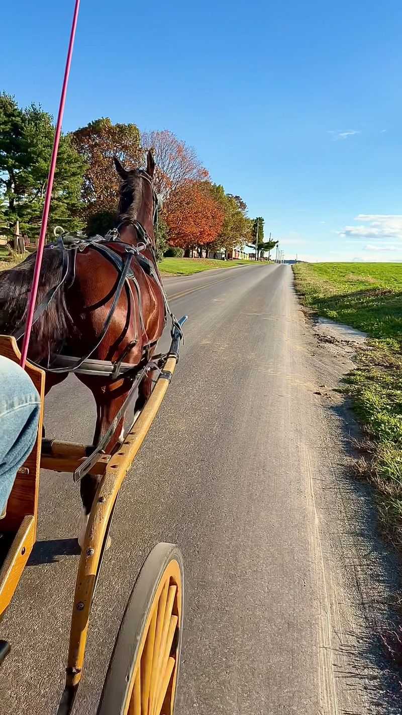 Life Is Lived Locally And It Shows