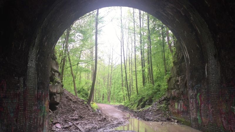 Silence Before The Light