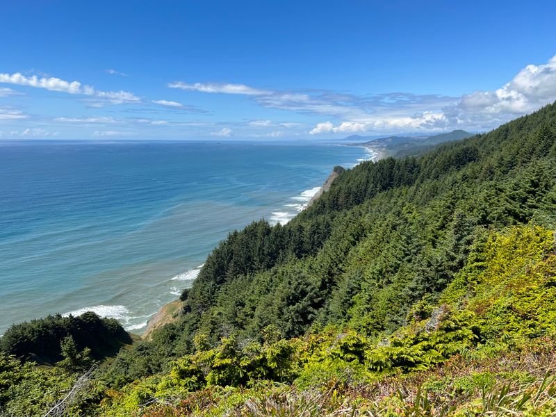 Cape Sebastian State Scenic Corridor near Gold Beach