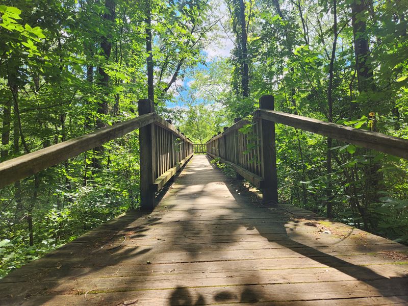 Miles of Scenic Hiking Trails Through Diverse Landscapes