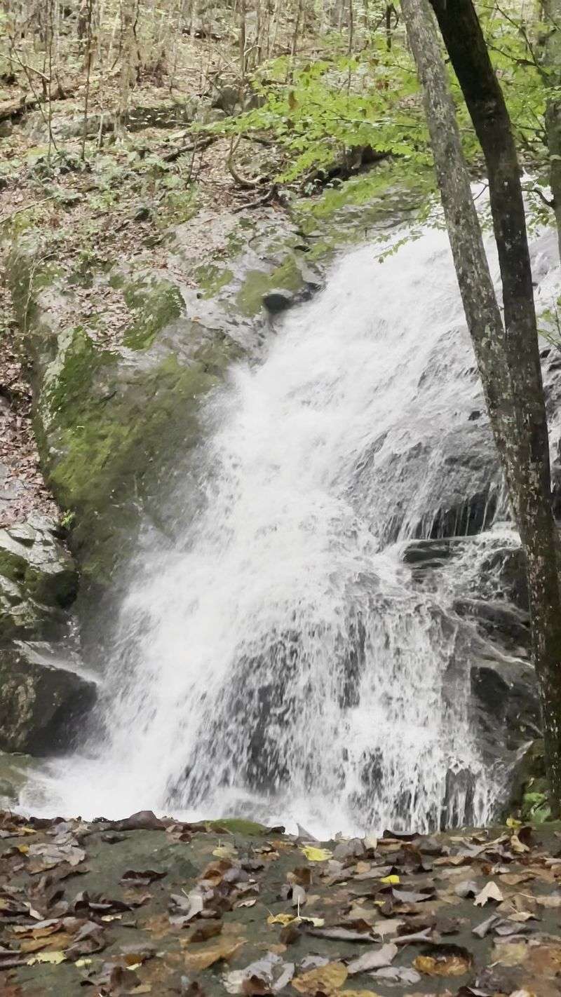 Safety Concerns From Overcrowding And Risky Behavior