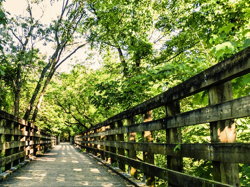The Virginia Creeper Trail Invites You to Pedal Through History