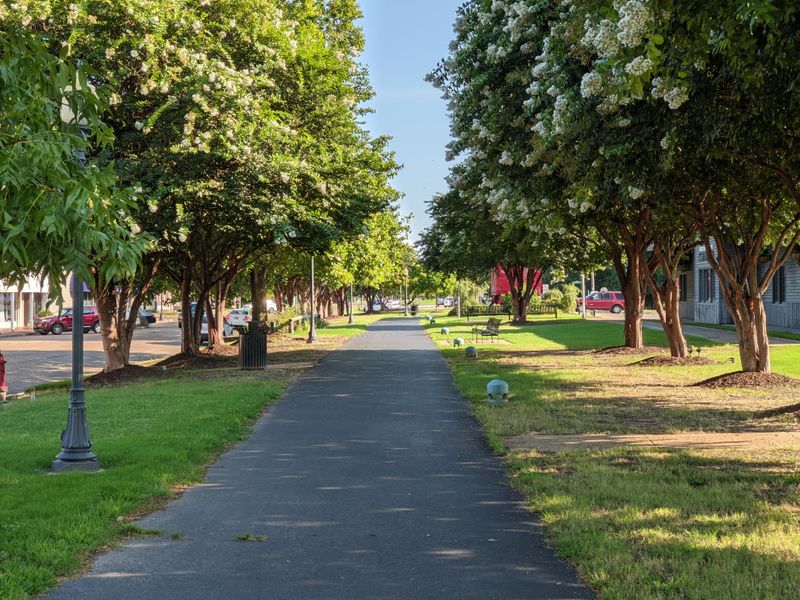 Right In The Heart Of The Delta