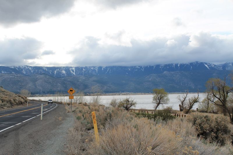 Fines Can Escalate Quickly