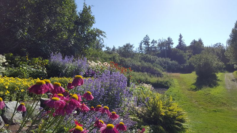 How Locals Listen To Their Bodies Instead Of The Sun