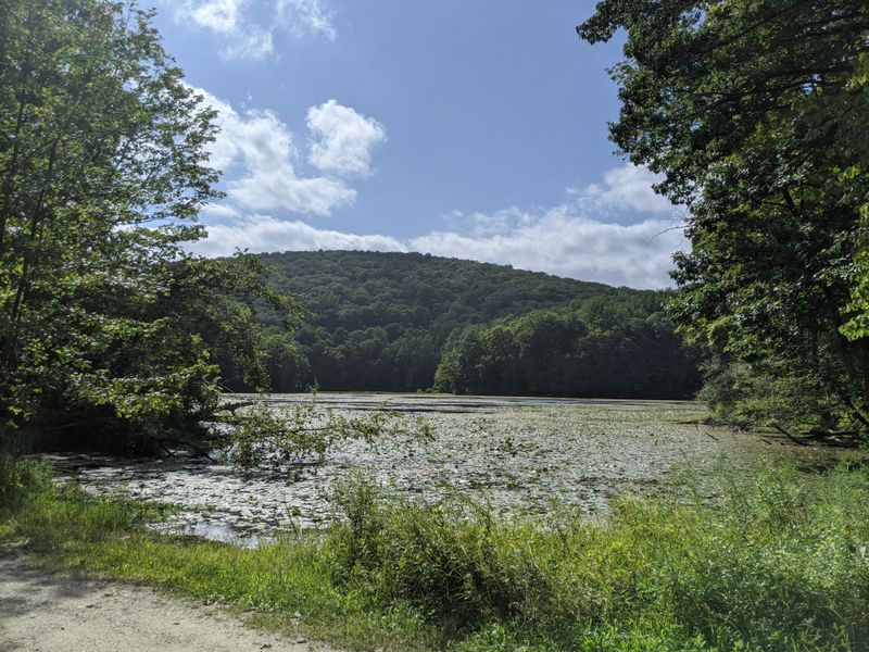 The Name Itself Sends Chills Down Your Spine