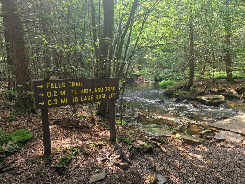 Falls Trail At Ricketts Glen