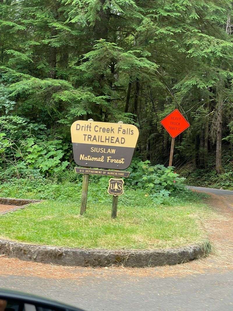 Driving Tips and Navigating the Narrow Forest Road