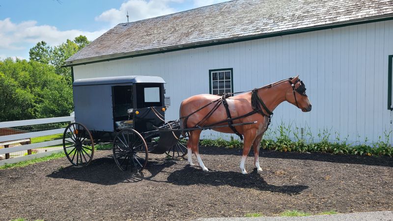 Some Technologies Are Accepted While Others Aren’t