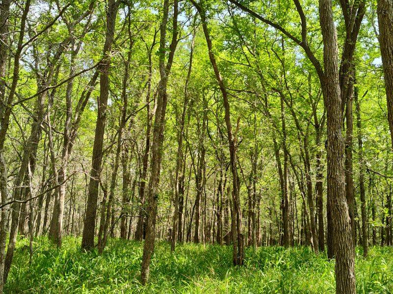 Family-Friendly Facilities That Shine