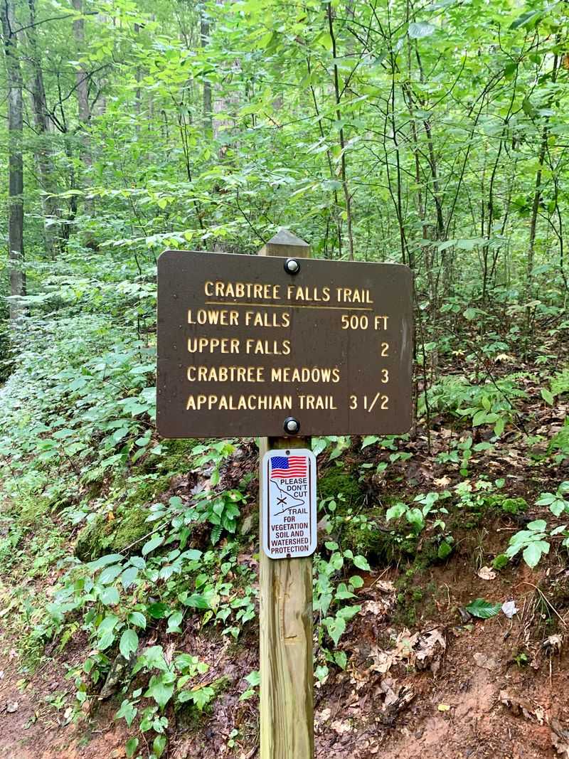 Trail Congestion Turns Hiking Into Stop And Go Traffic