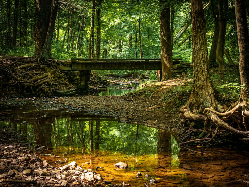 Extensive Hiking Trails Beyond the Village