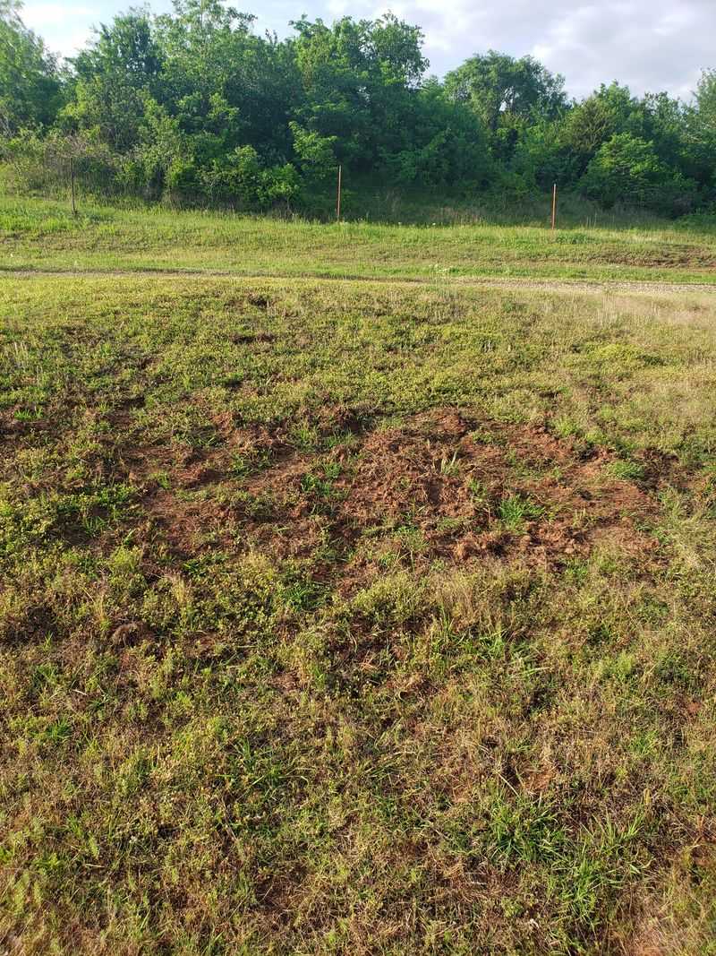 The Prairie Landscape and Scenic Drives