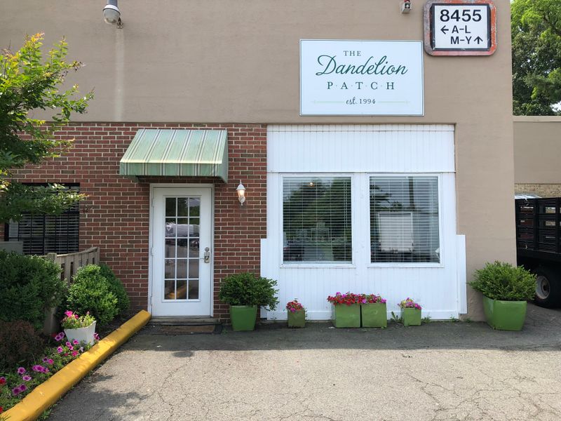 The Dandelion Patch in Abingdon