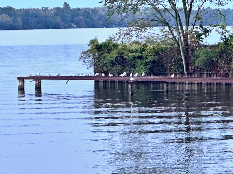 Rainy Days That Pull You Inside