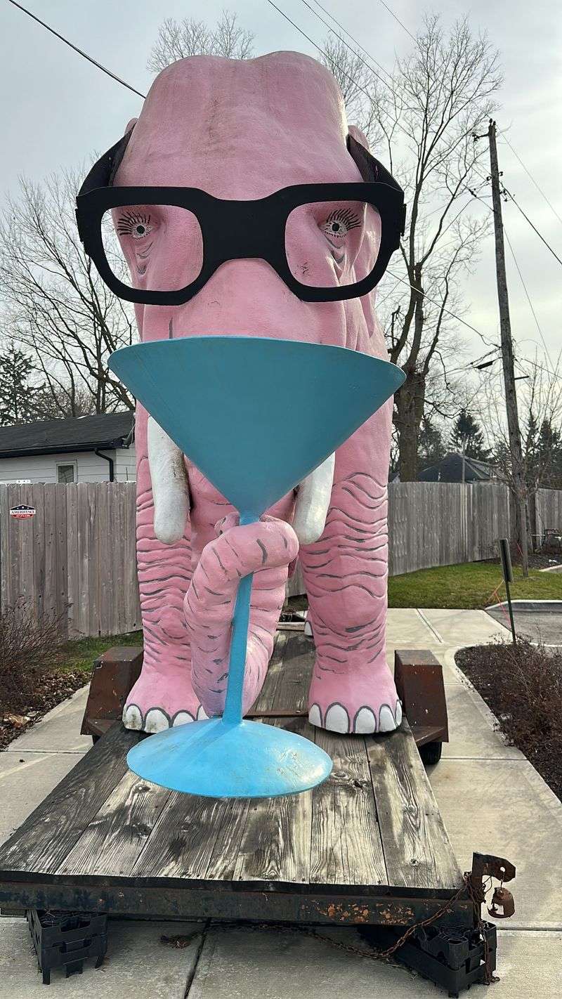 Community Mascot That Brings Fortville Together