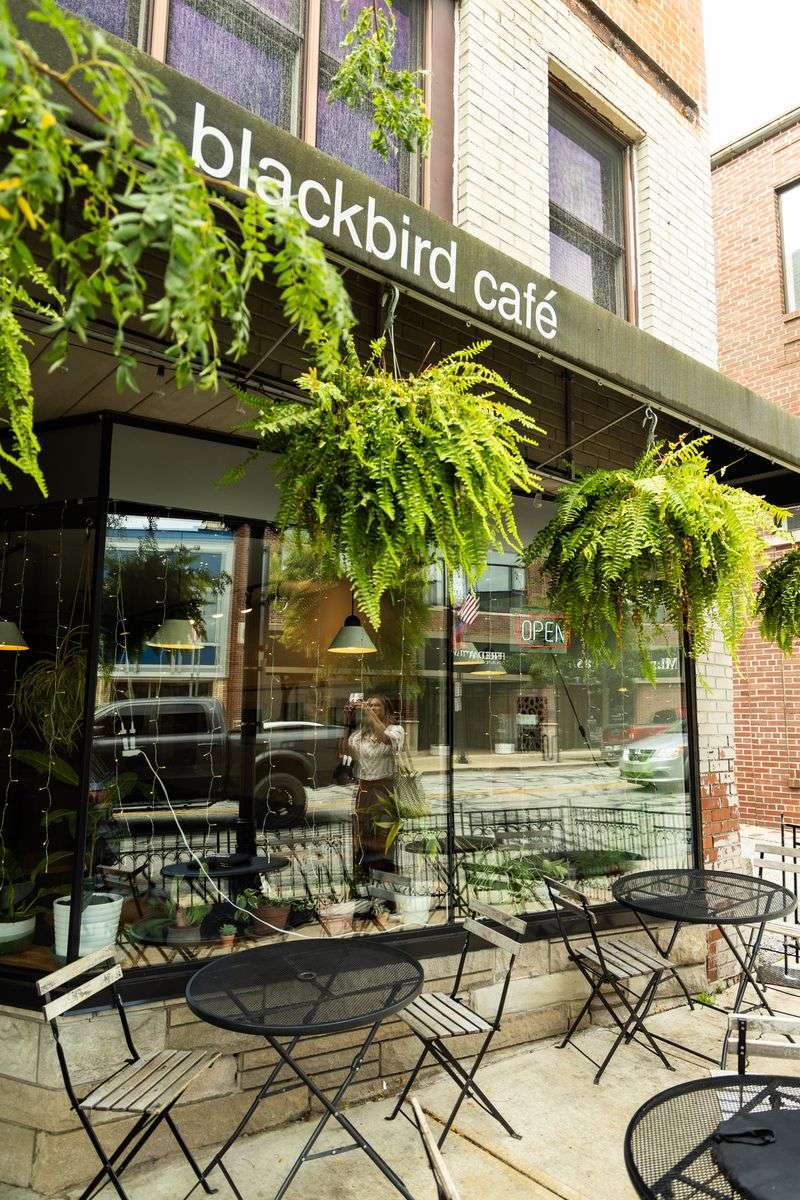 Blackbird Cafe - Valparaiso