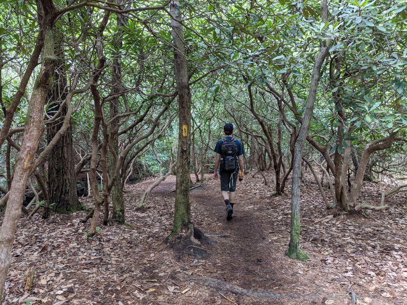 Paranormal Investigators Flock to the Location